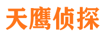 桑日市侦探公司